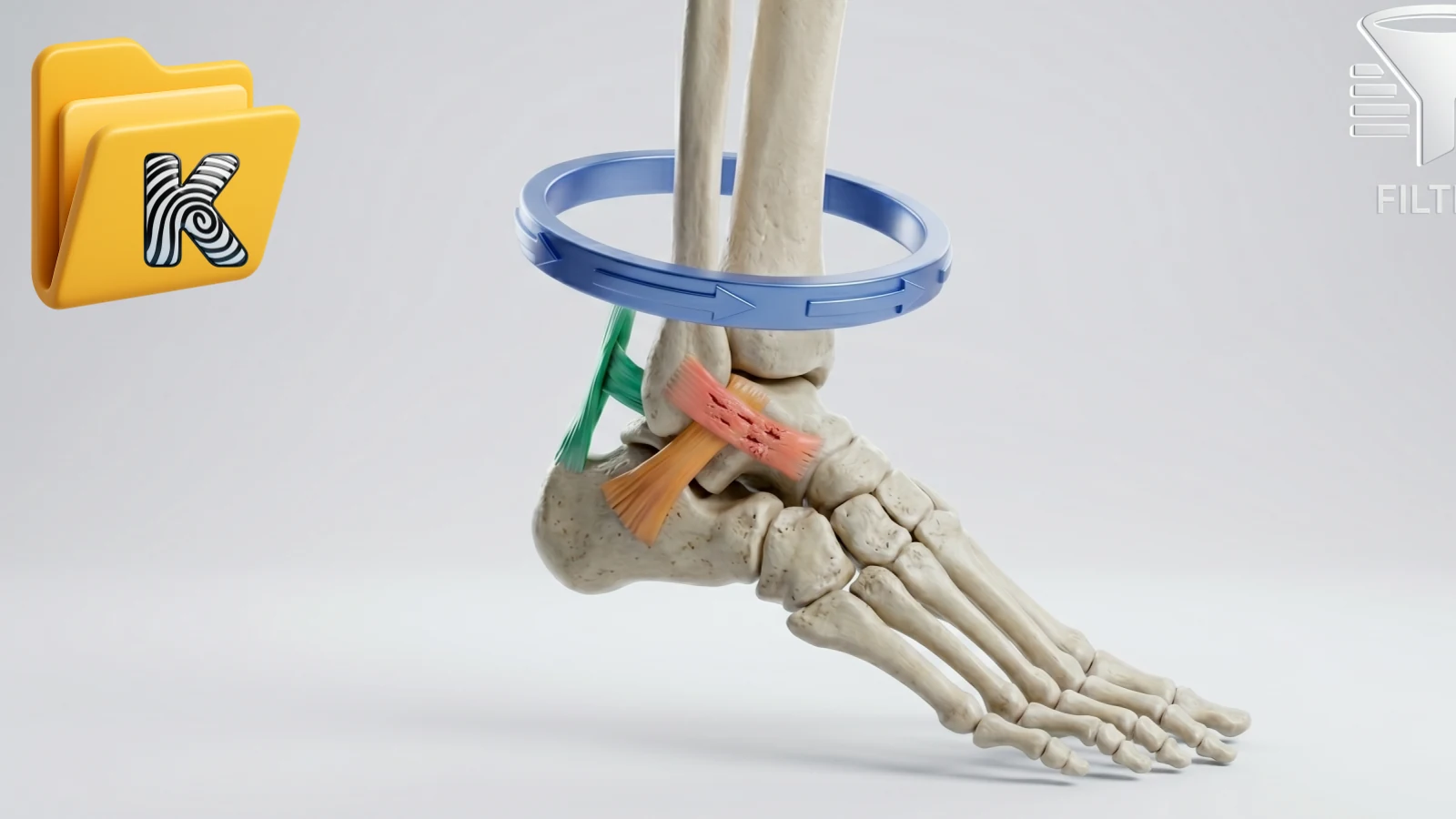Entorse latérale de cheville : le guide exhaustif (Ottawa, PEACE & LOVE, cicatrisation ligamentaire, traitement fonctionnel, proprioception, retour au sport, chirurgie Cochrane)